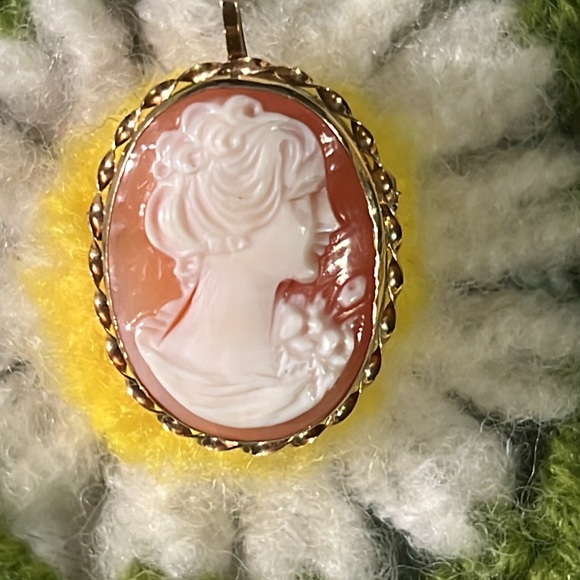 APA Torre Del Greco Italy Hand Carved Shell Cameo - Picture 2 of 6